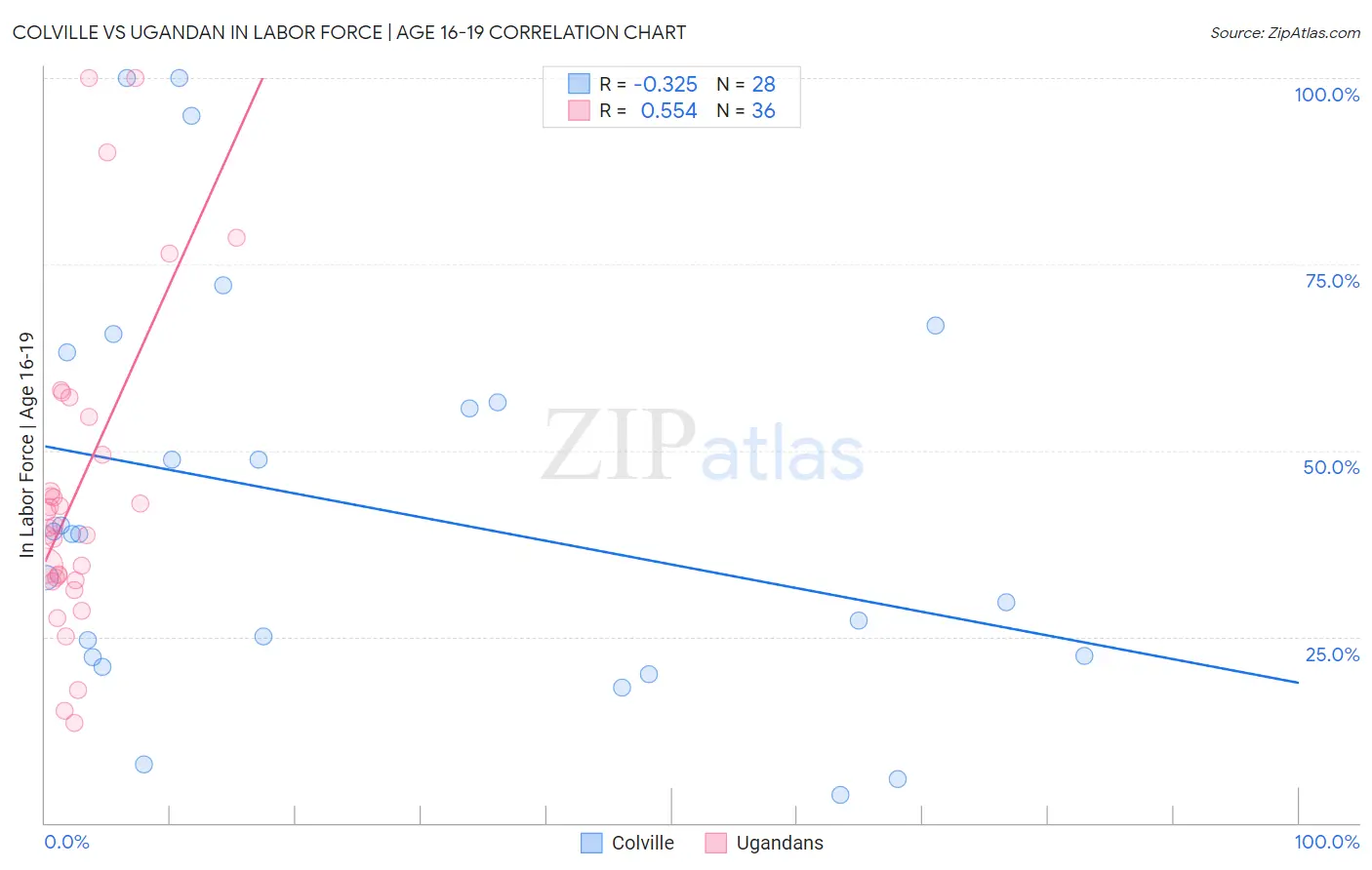 Colville vs Ugandan In Labor Force | Age 16-19