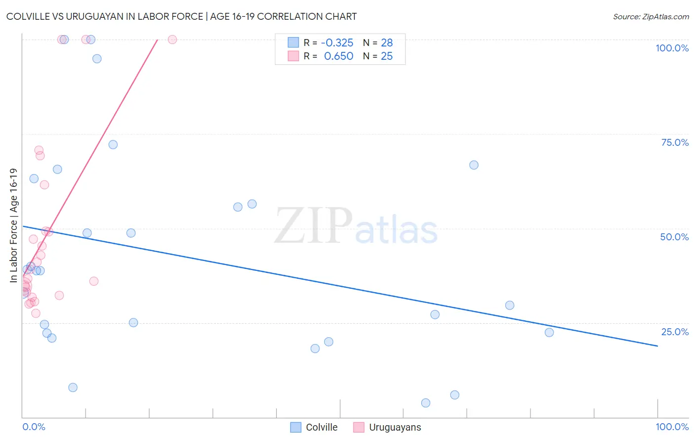 Colville vs Uruguayan In Labor Force | Age 16-19