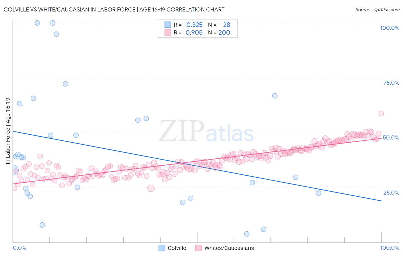 Colville vs White/Caucasian In Labor Force | Age 16-19