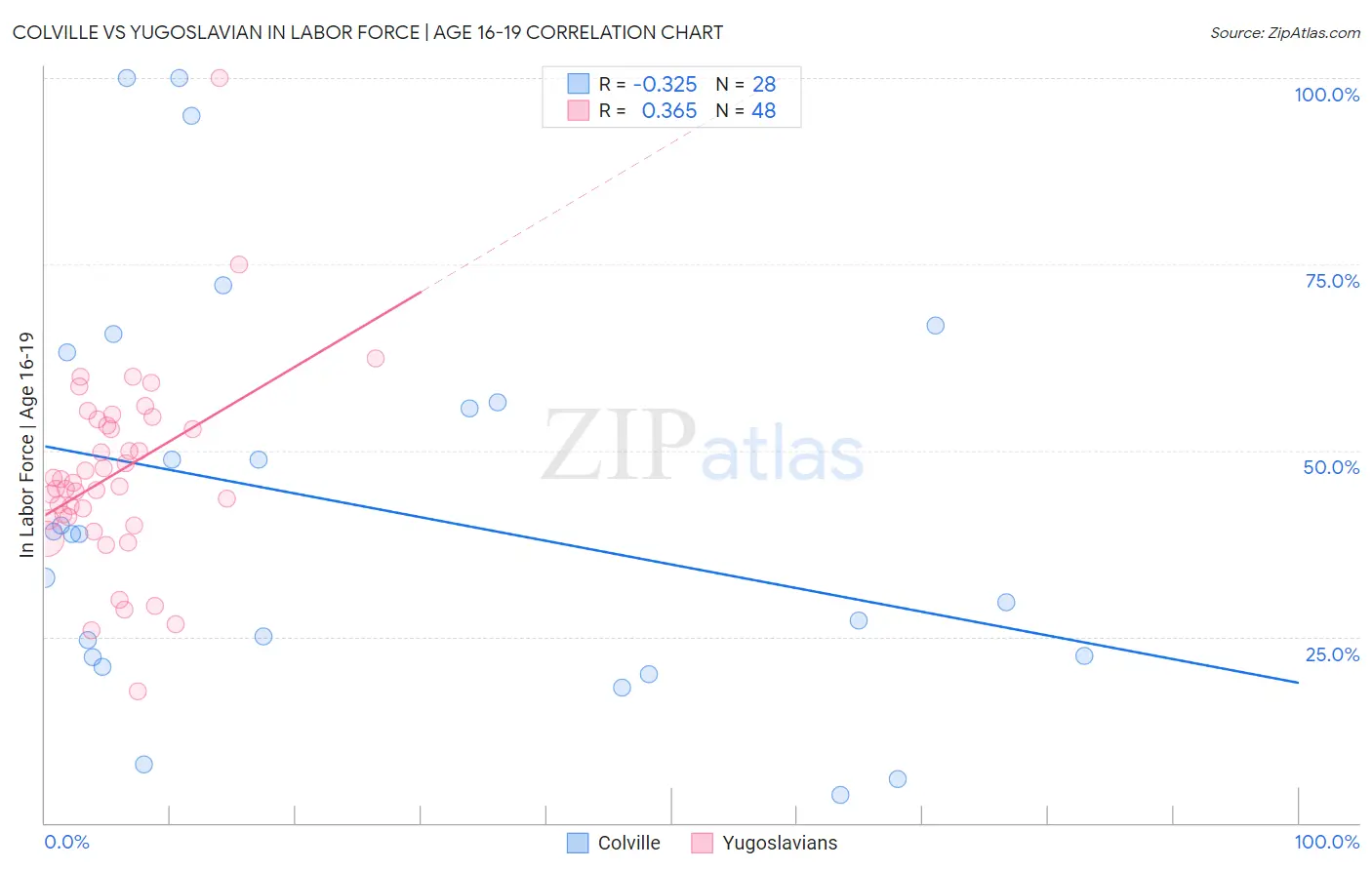 Colville vs Yugoslavian In Labor Force | Age 16-19