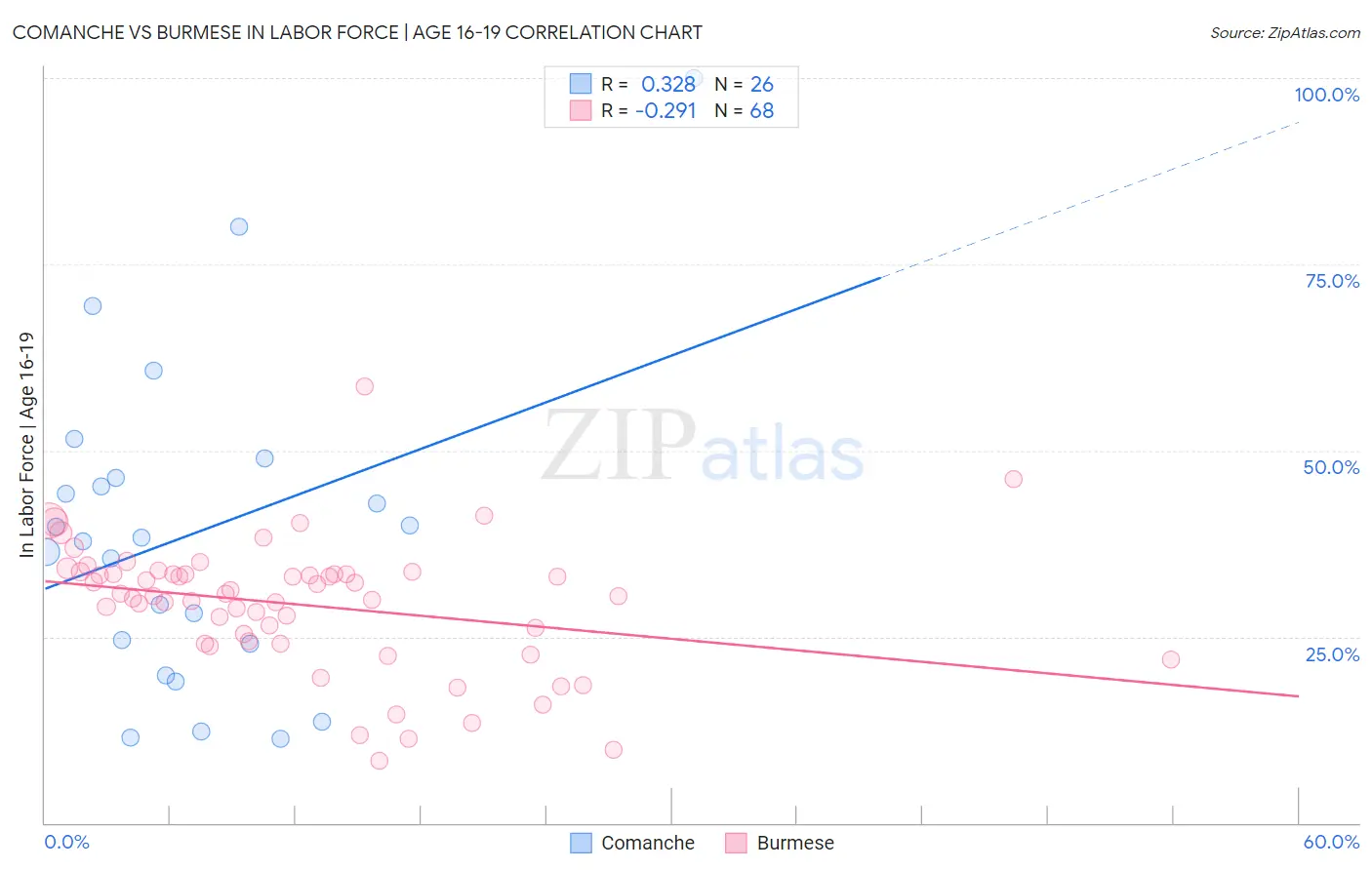 Comanche vs Burmese In Labor Force | Age 16-19