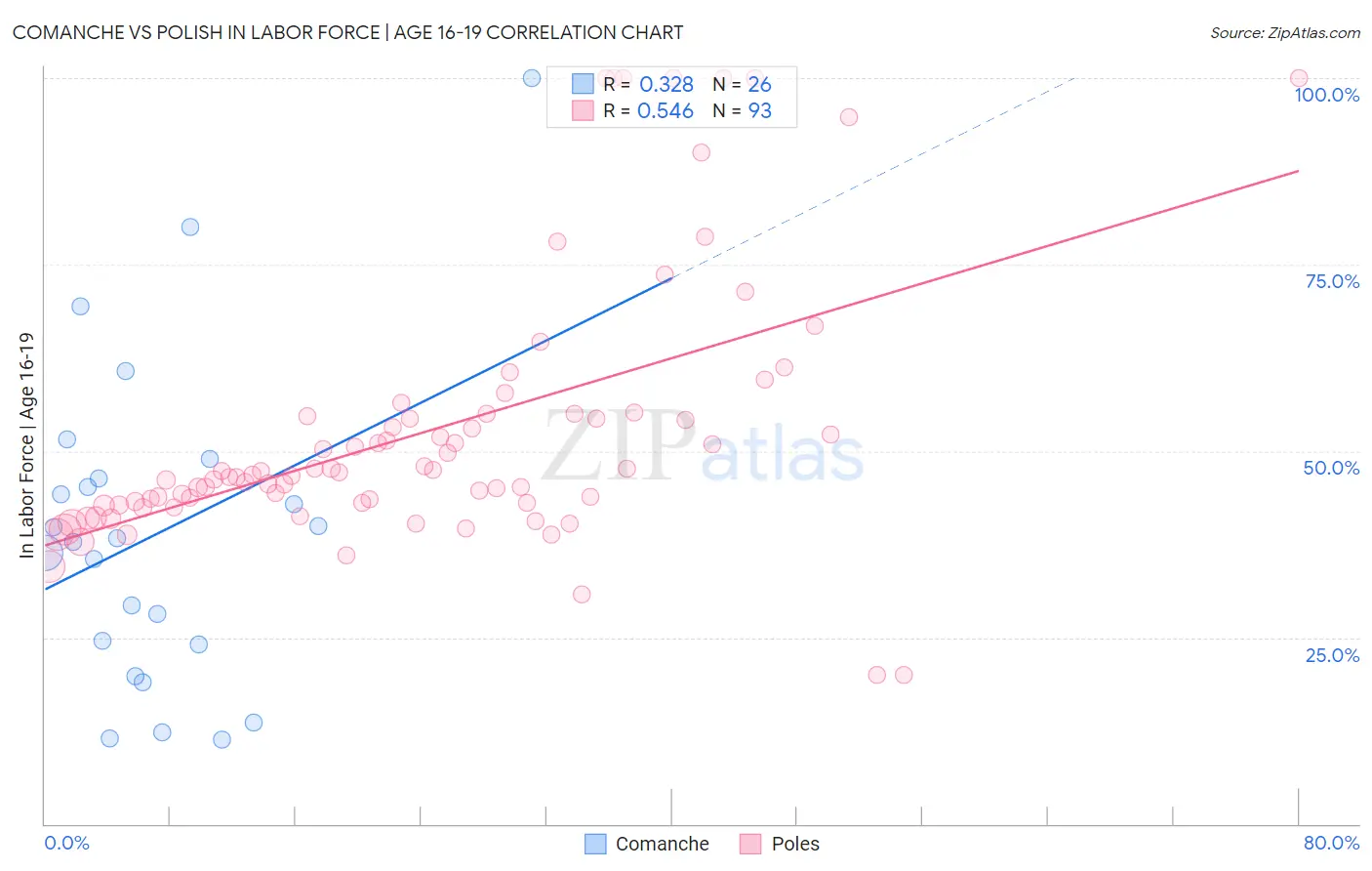 Comanche vs Polish In Labor Force | Age 16-19