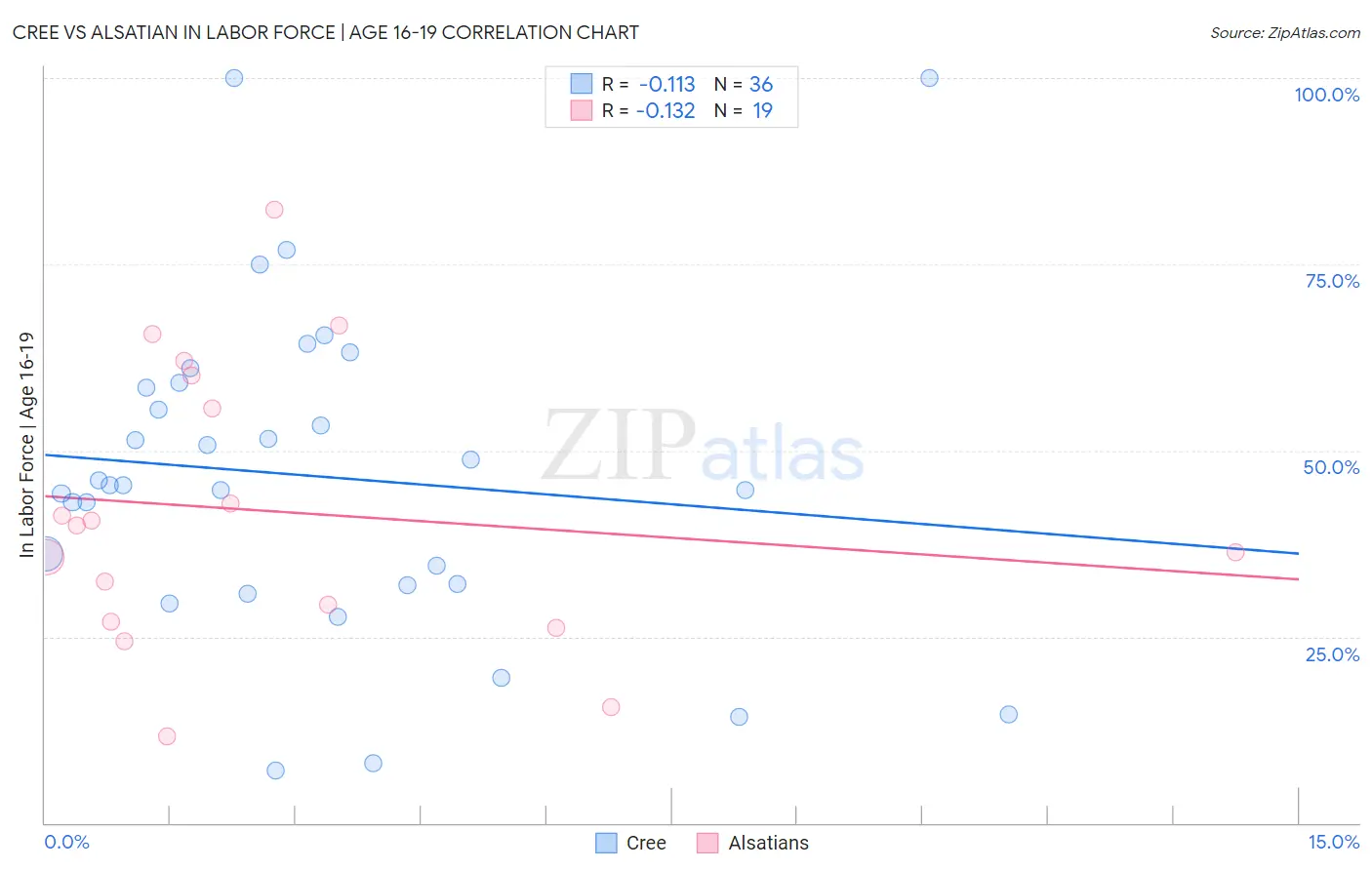 Cree vs Alsatian In Labor Force | Age 16-19