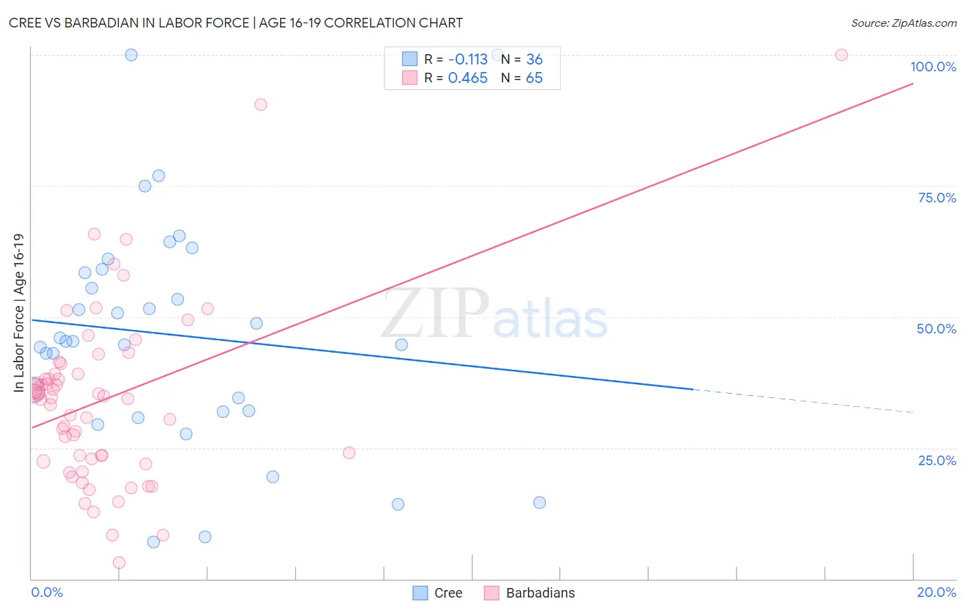 Cree vs Barbadian In Labor Force | Age 16-19