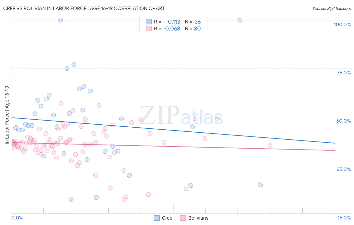 Cree vs Bolivian In Labor Force | Age 16-19