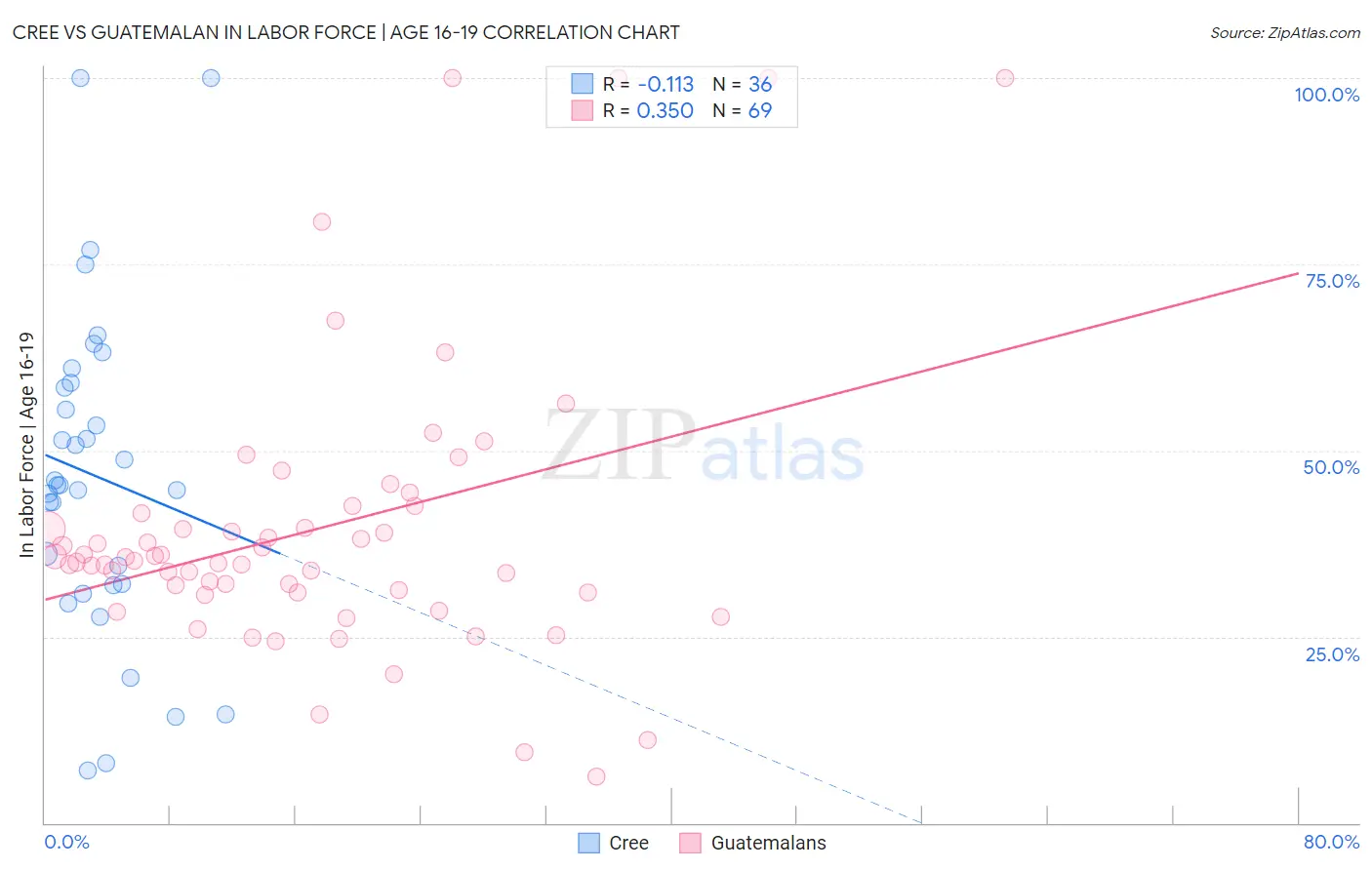Cree vs Guatemalan In Labor Force | Age 16-19
