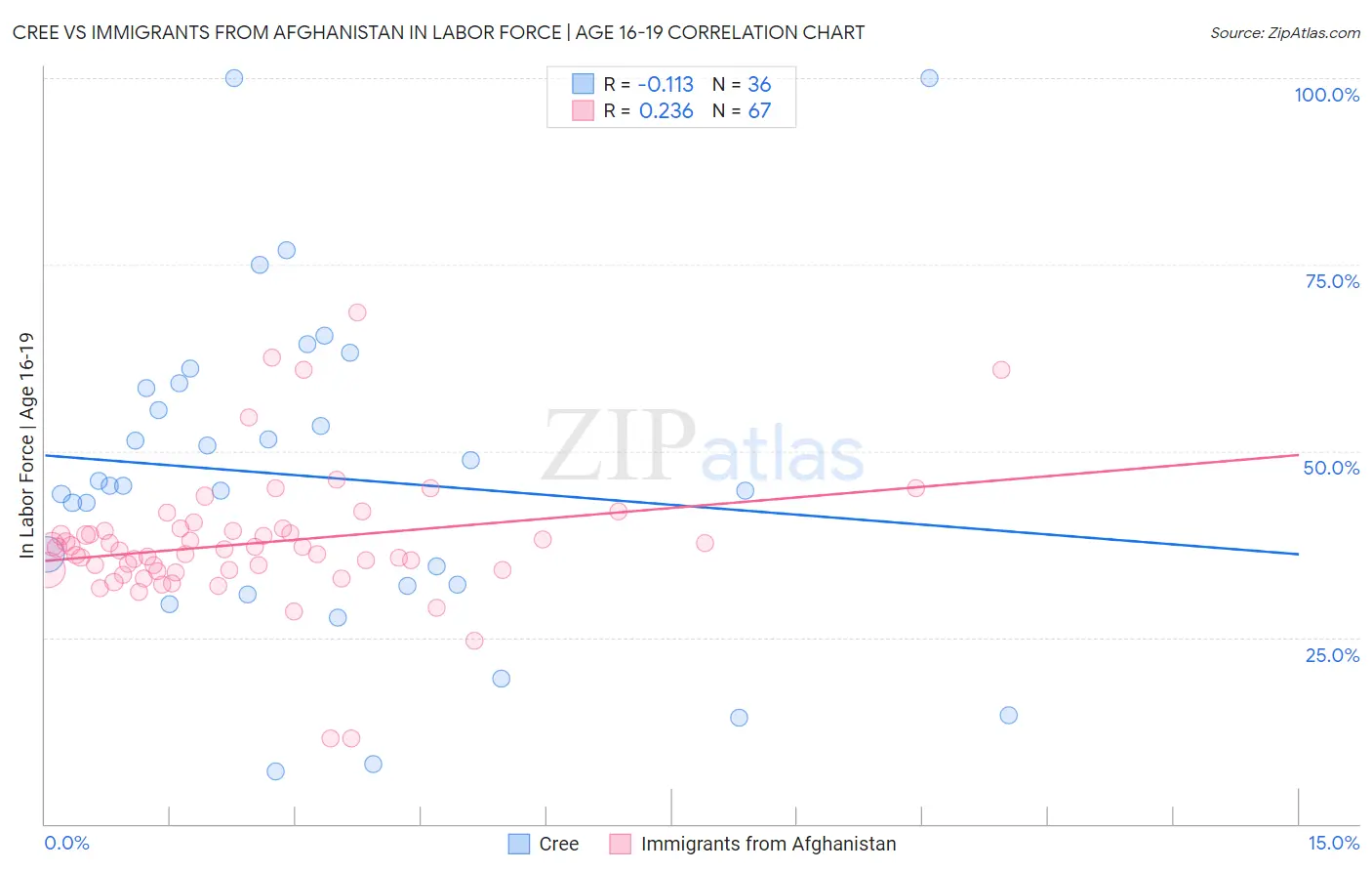 Cree vs Immigrants from Afghanistan In Labor Force | Age 16-19