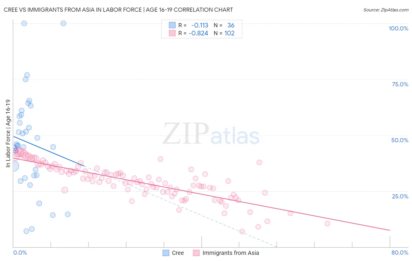 Cree vs Immigrants from Asia In Labor Force | Age 16-19