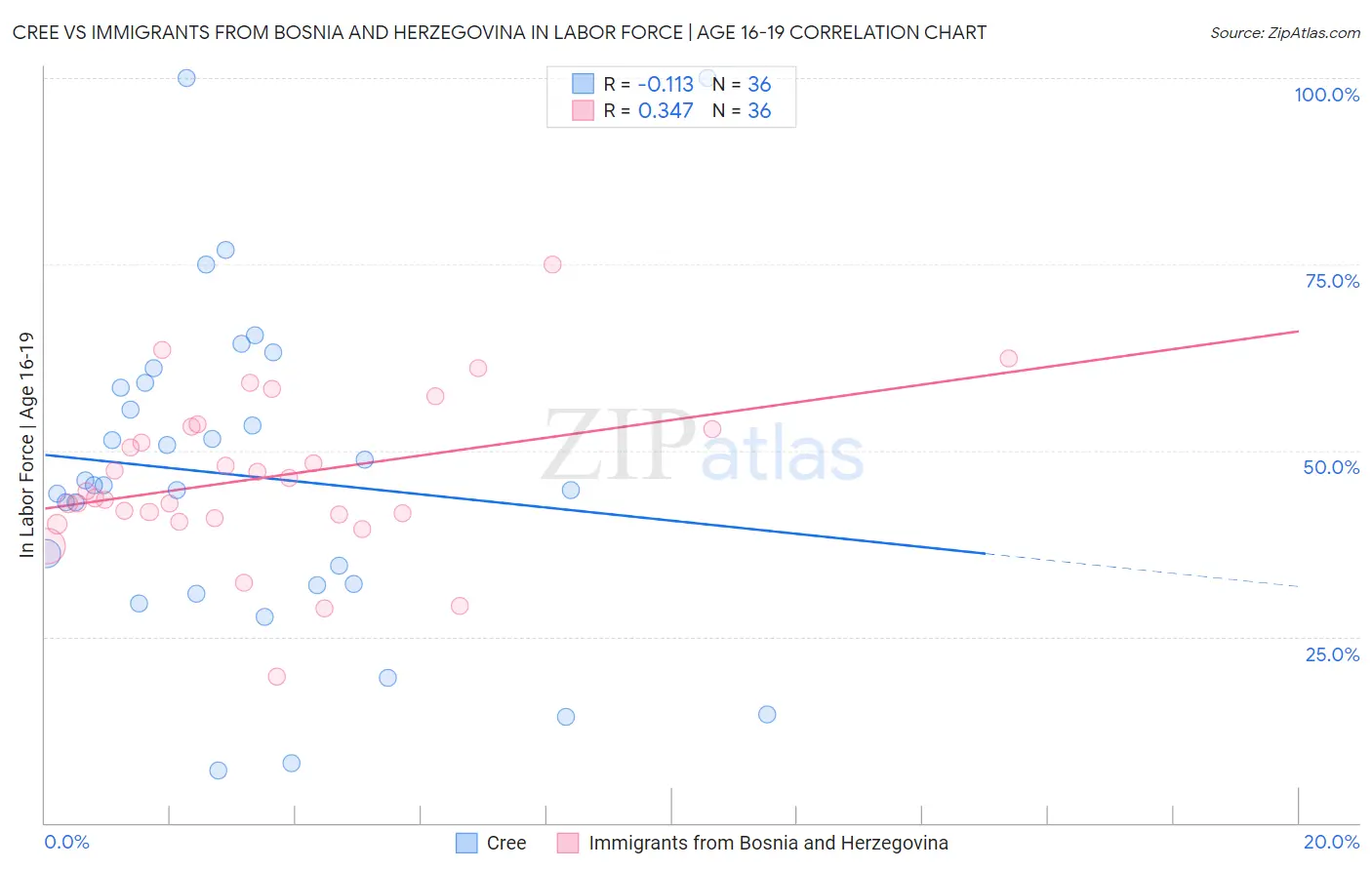 Cree vs Immigrants from Bosnia and Herzegovina In Labor Force | Age 16-19