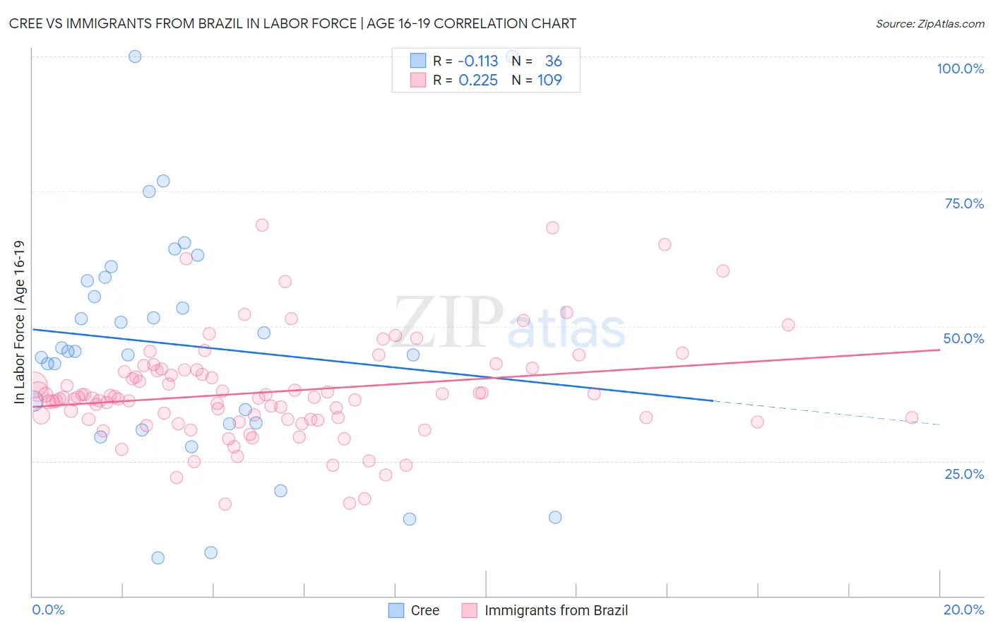Cree vs Immigrants from Brazil In Labor Force | Age 16-19
