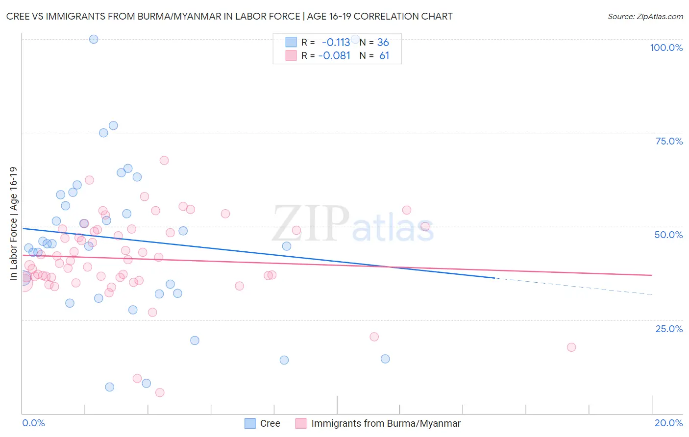 Cree vs Immigrants from Burma/Myanmar In Labor Force | Age 16-19