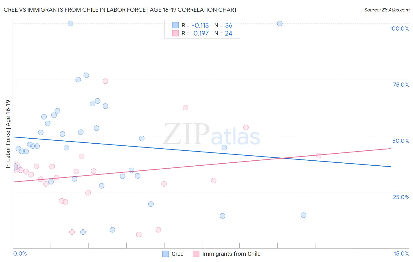 Cree vs Immigrants from Chile In Labor Force | Age 16-19