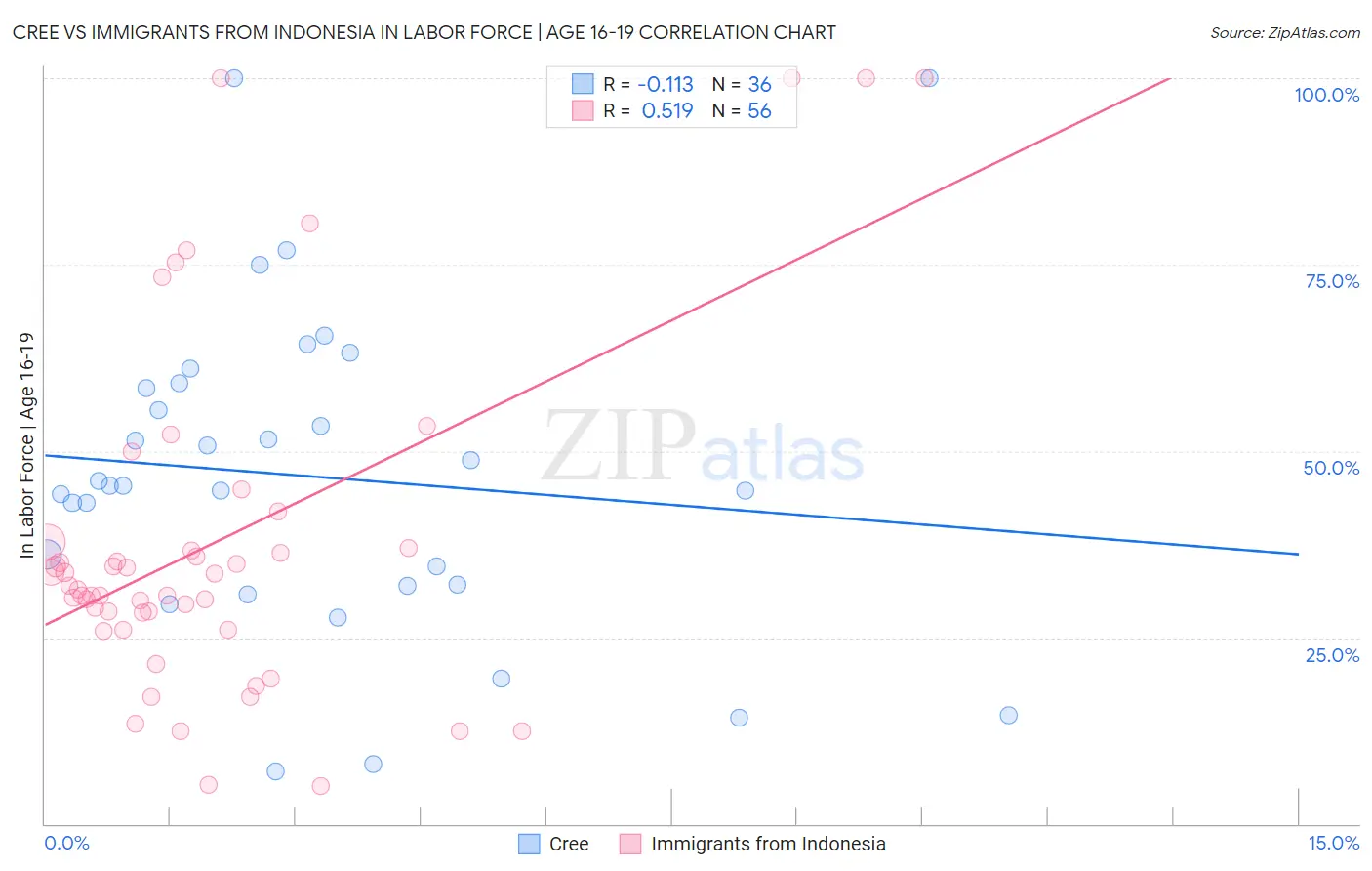 Cree vs Immigrants from Indonesia In Labor Force | Age 16-19