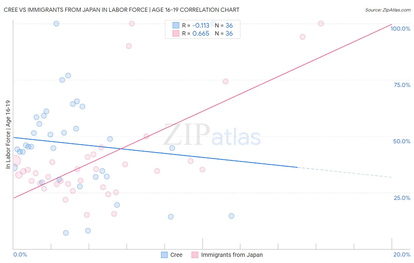 Cree vs Immigrants from Japan In Labor Force | Age 16-19