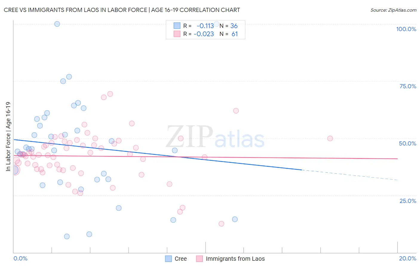 Cree vs Immigrants from Laos In Labor Force | Age 16-19
