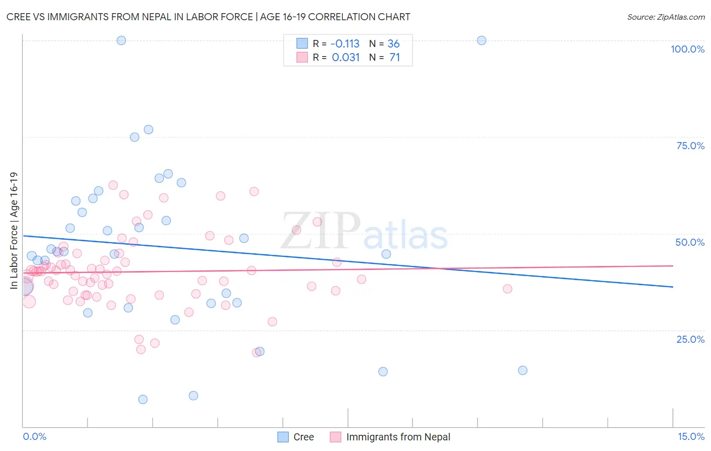 Cree vs Immigrants from Nepal In Labor Force | Age 16-19