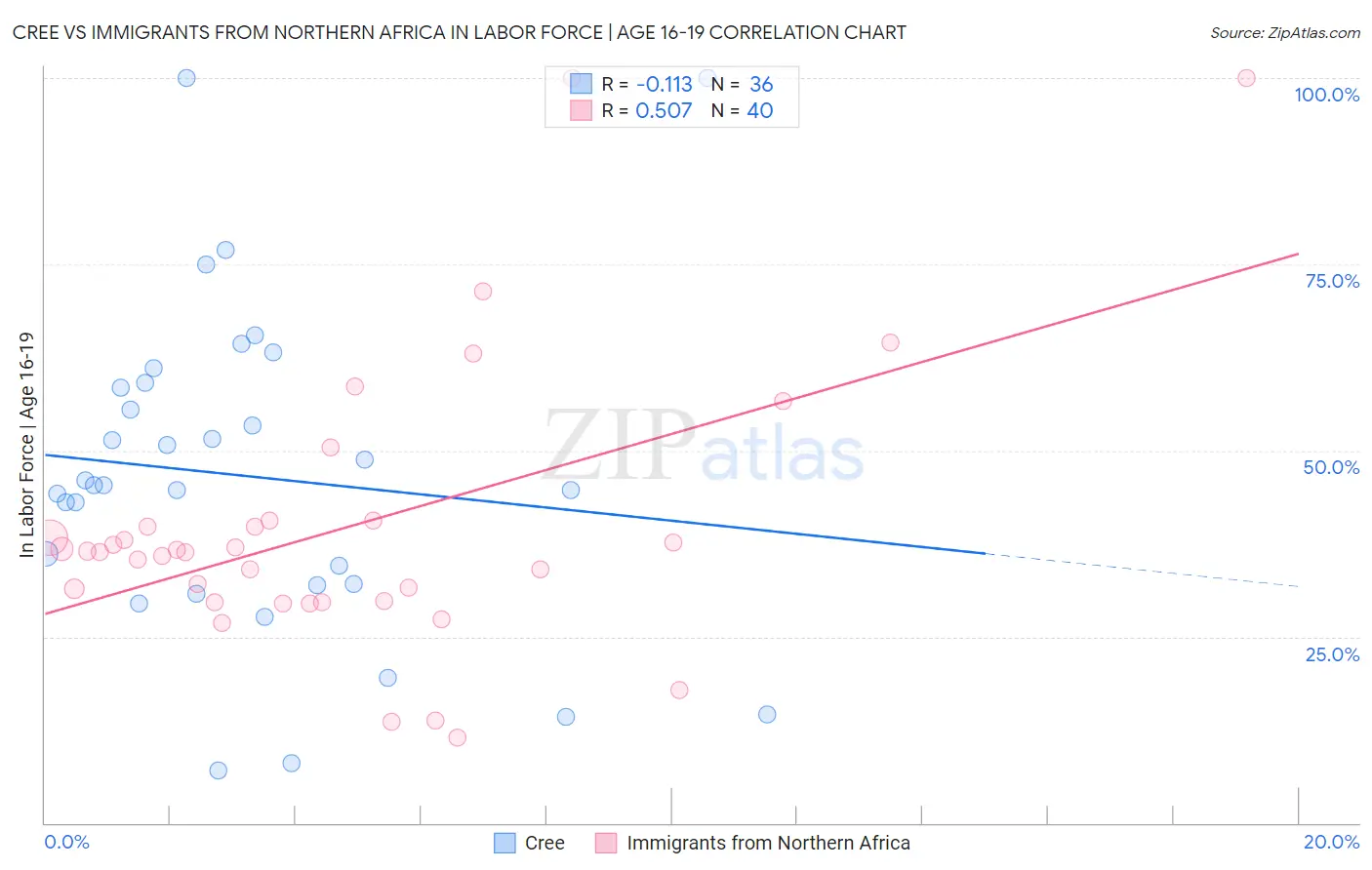 Cree vs Immigrants from Northern Africa In Labor Force | Age 16-19