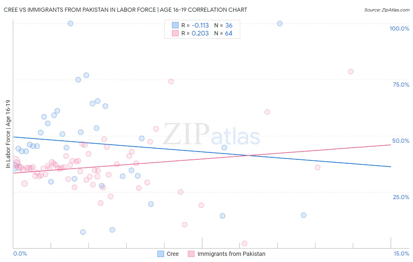 Cree vs Immigrants from Pakistan In Labor Force | Age 16-19