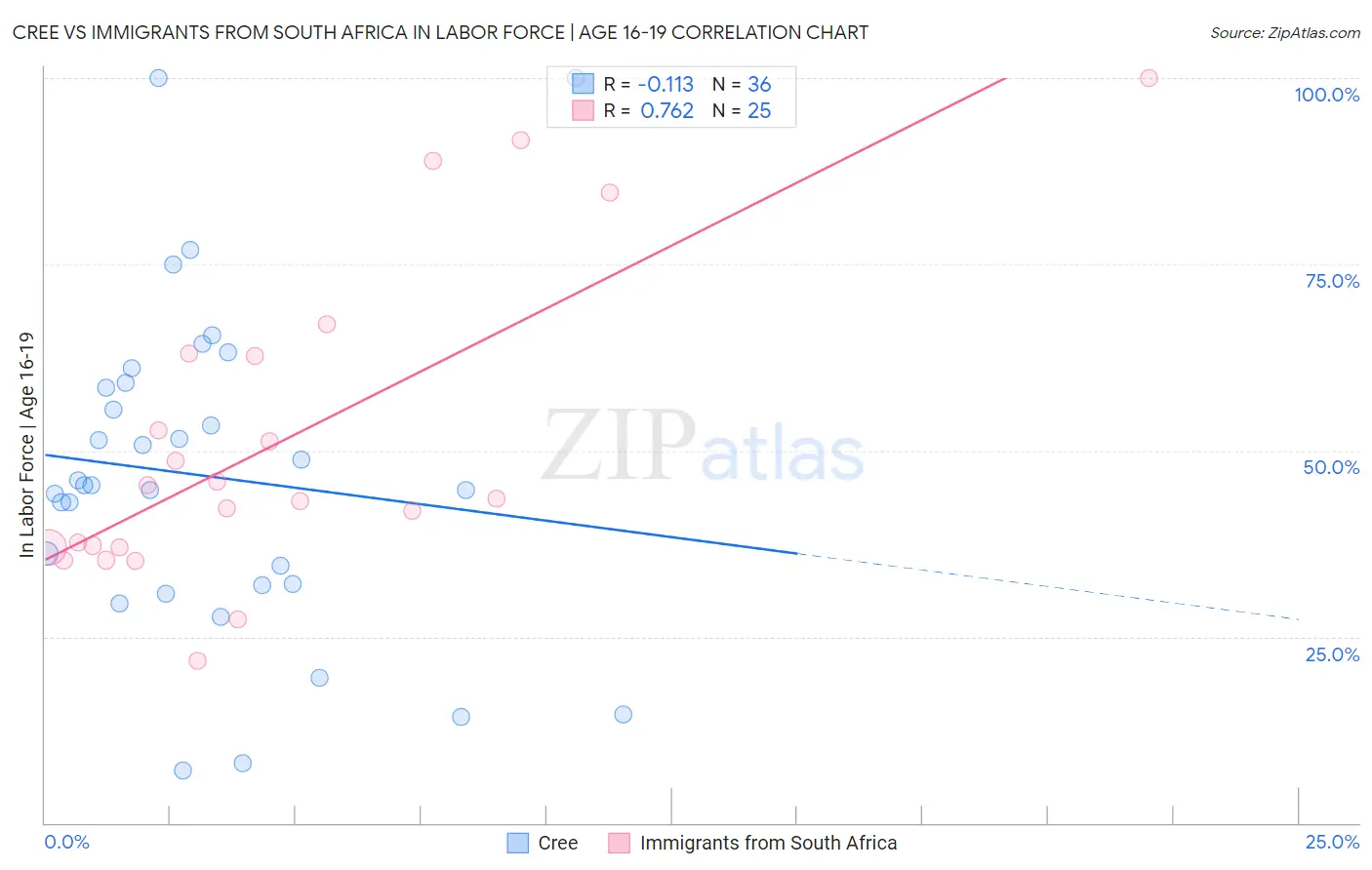 Cree vs Immigrants from South Africa In Labor Force | Age 16-19