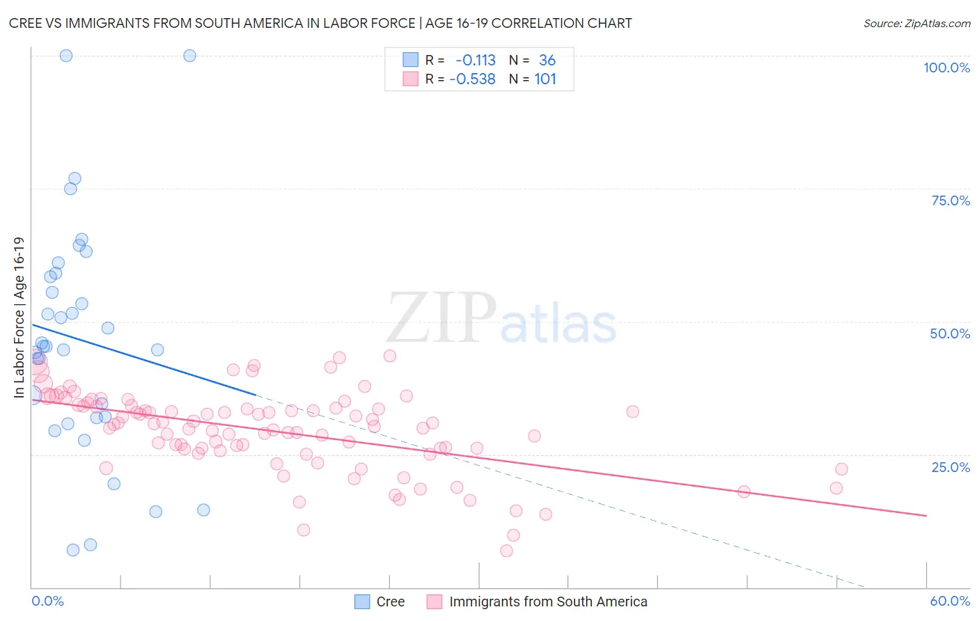 Cree vs Immigrants from South America In Labor Force | Age 16-19