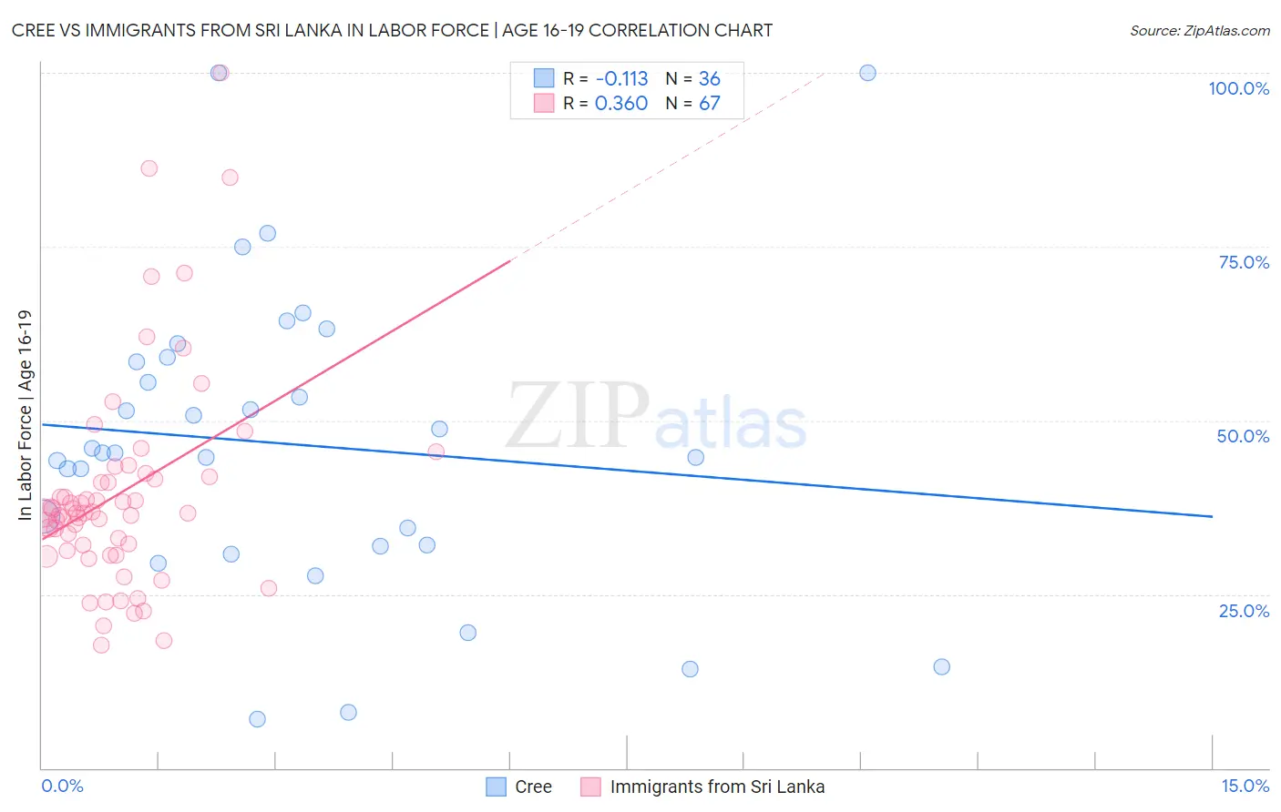 Cree vs Immigrants from Sri Lanka In Labor Force | Age 16-19