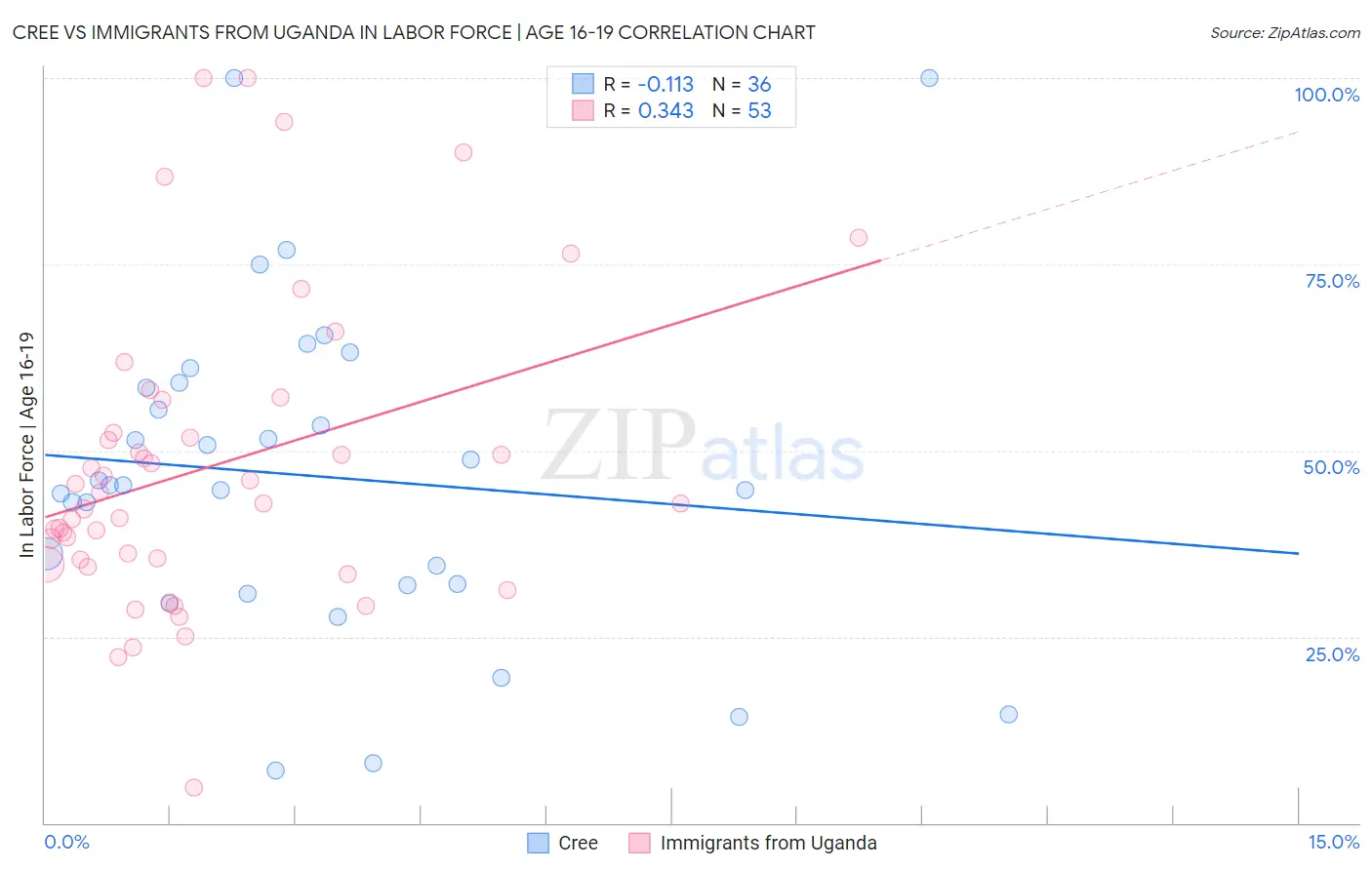 Cree vs Immigrants from Uganda In Labor Force | Age 16-19