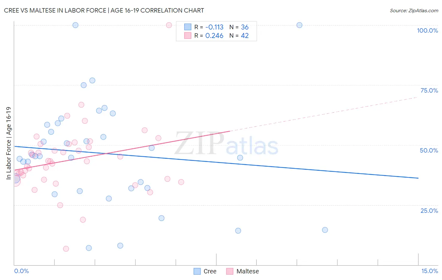 Cree vs Maltese In Labor Force | Age 16-19