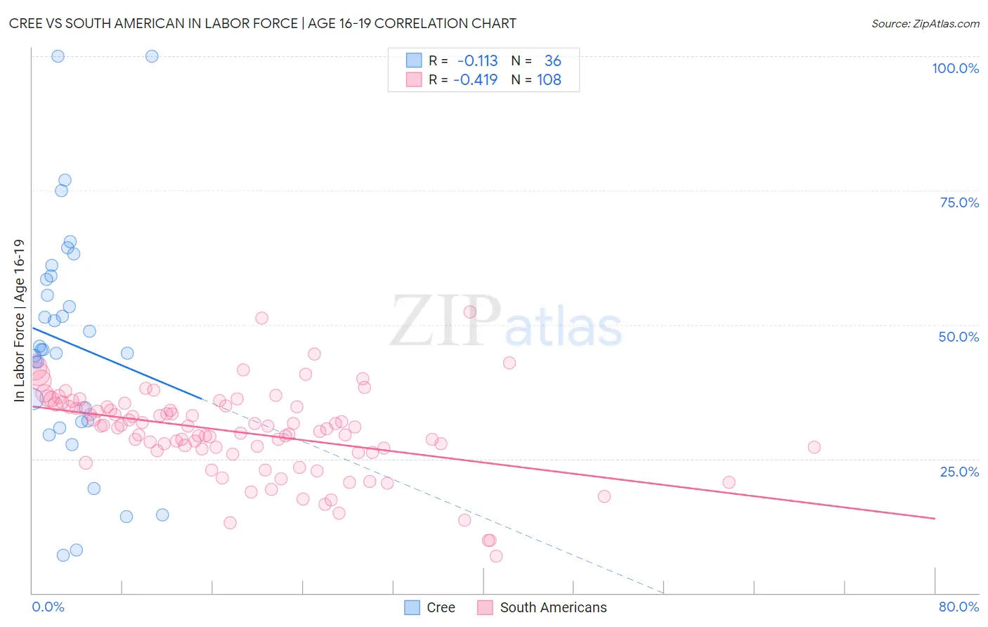 Cree vs South American In Labor Force | Age 16-19