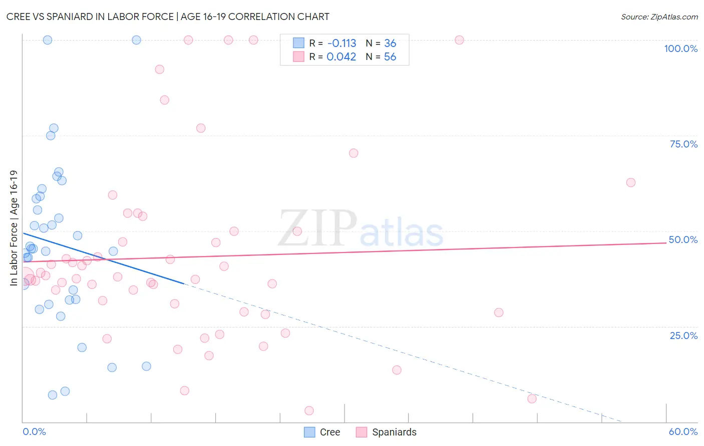 Cree vs Spaniard In Labor Force | Age 16-19
