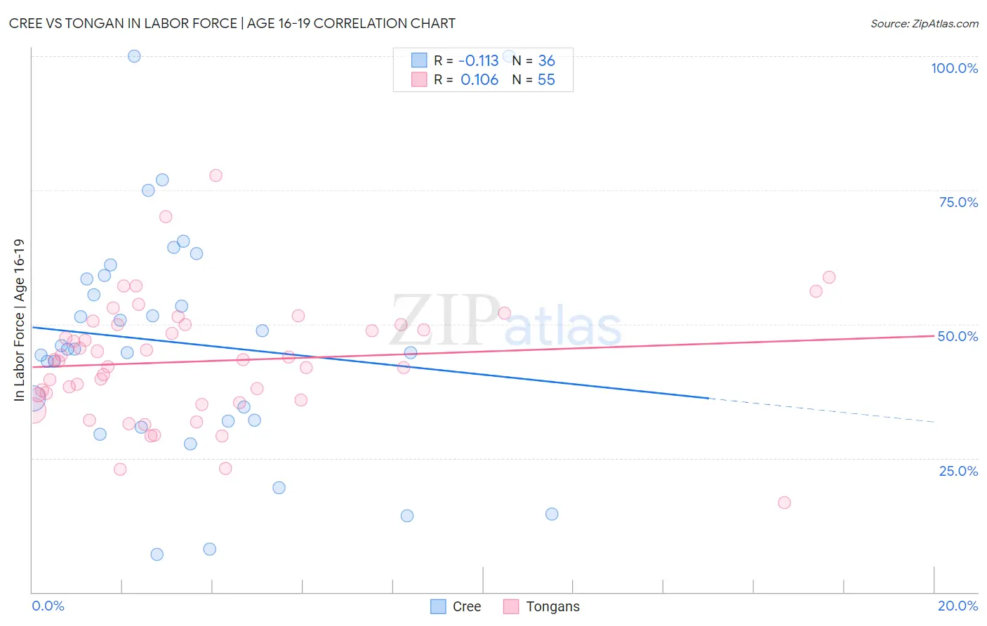 Cree vs Tongan In Labor Force | Age 16-19