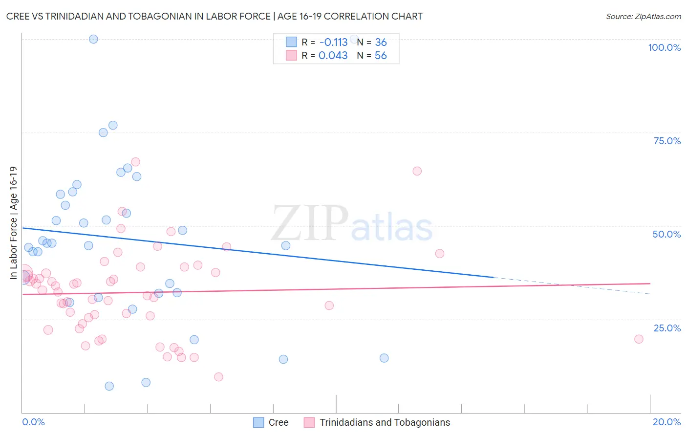 Cree vs Trinidadian and Tobagonian In Labor Force | Age 16-19