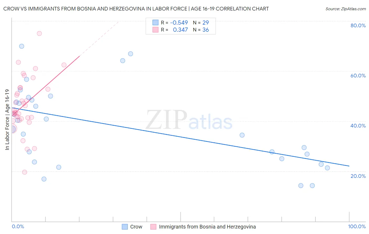 Crow vs Immigrants from Bosnia and Herzegovina In Labor Force | Age 16-19