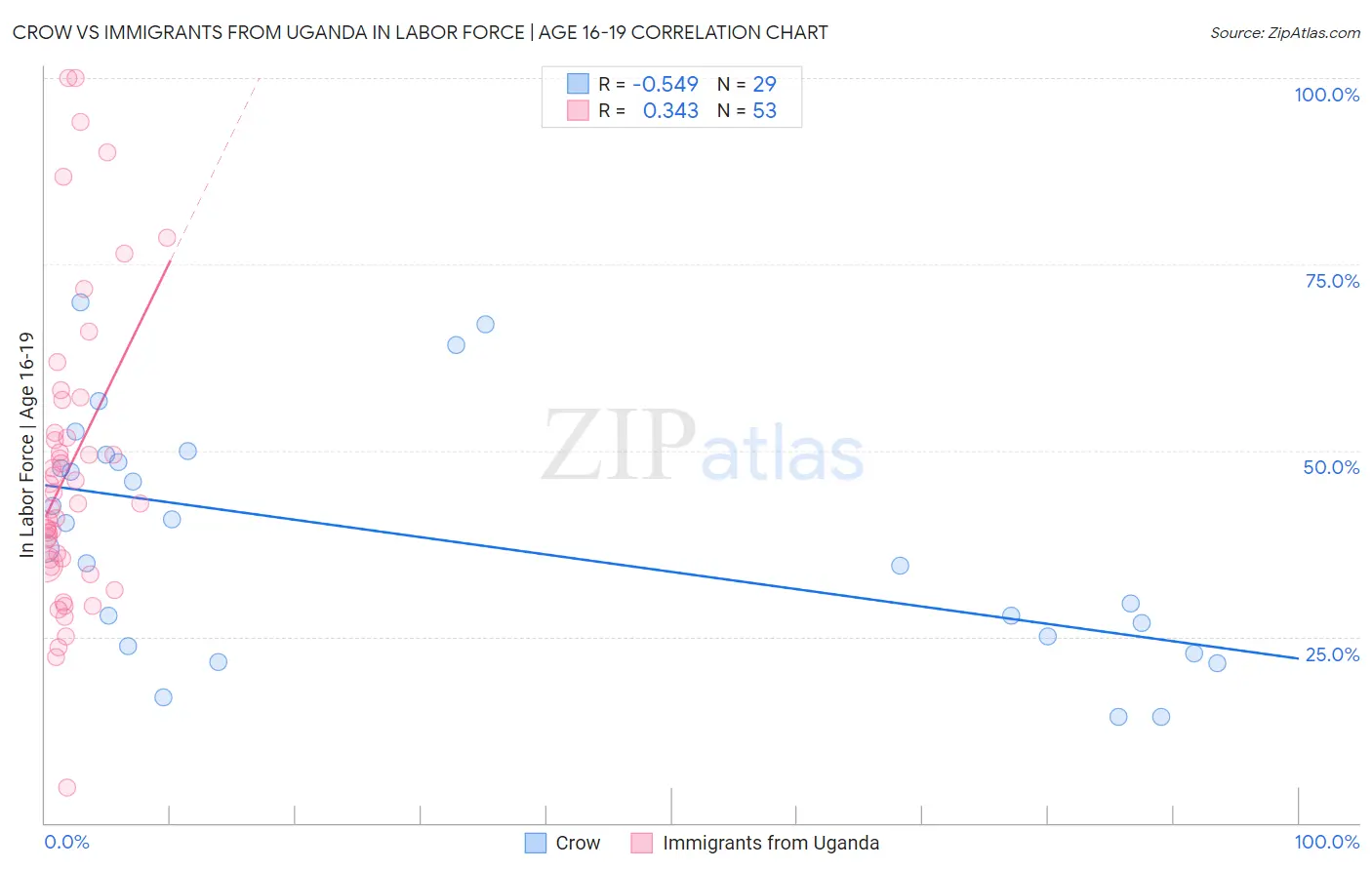 Crow vs Immigrants from Uganda In Labor Force | Age 16-19