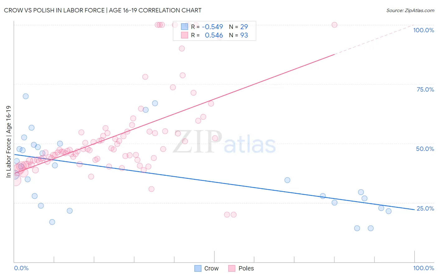 Crow vs Polish In Labor Force | Age 16-19