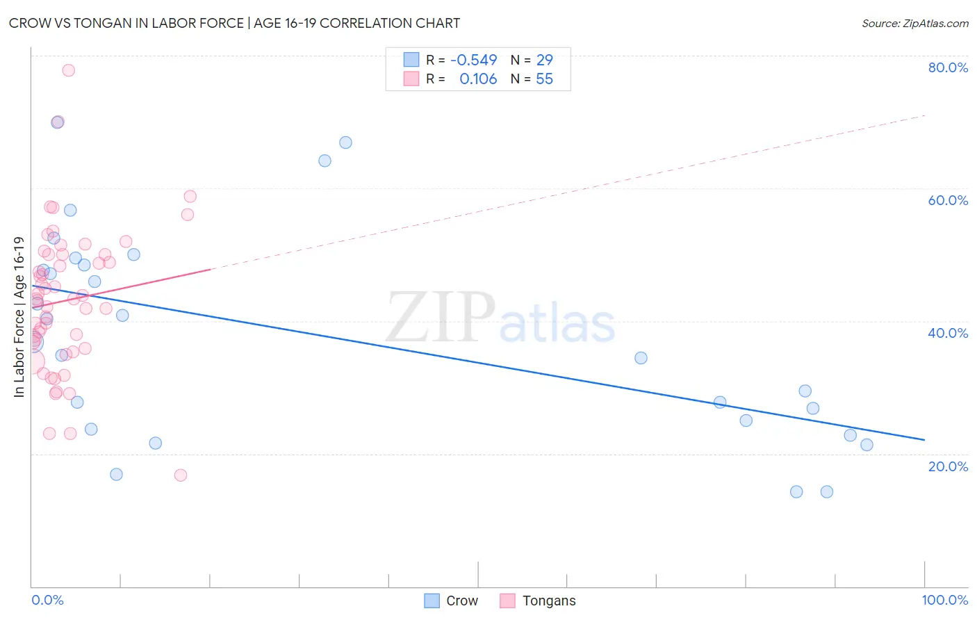 Crow vs Tongan In Labor Force | Age 16-19