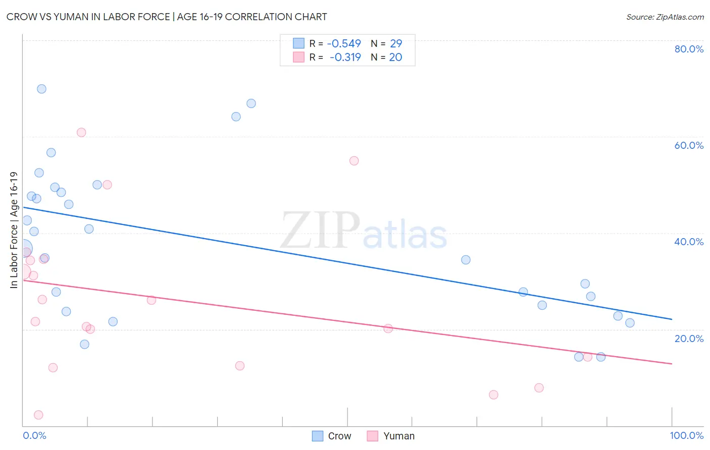 Crow vs Yuman In Labor Force | Age 16-19