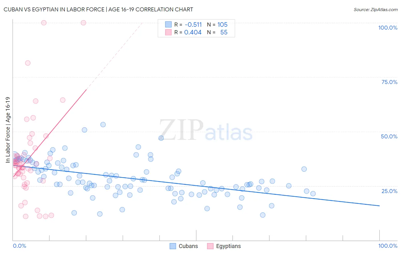 Cuban vs Egyptian In Labor Force | Age 16-19