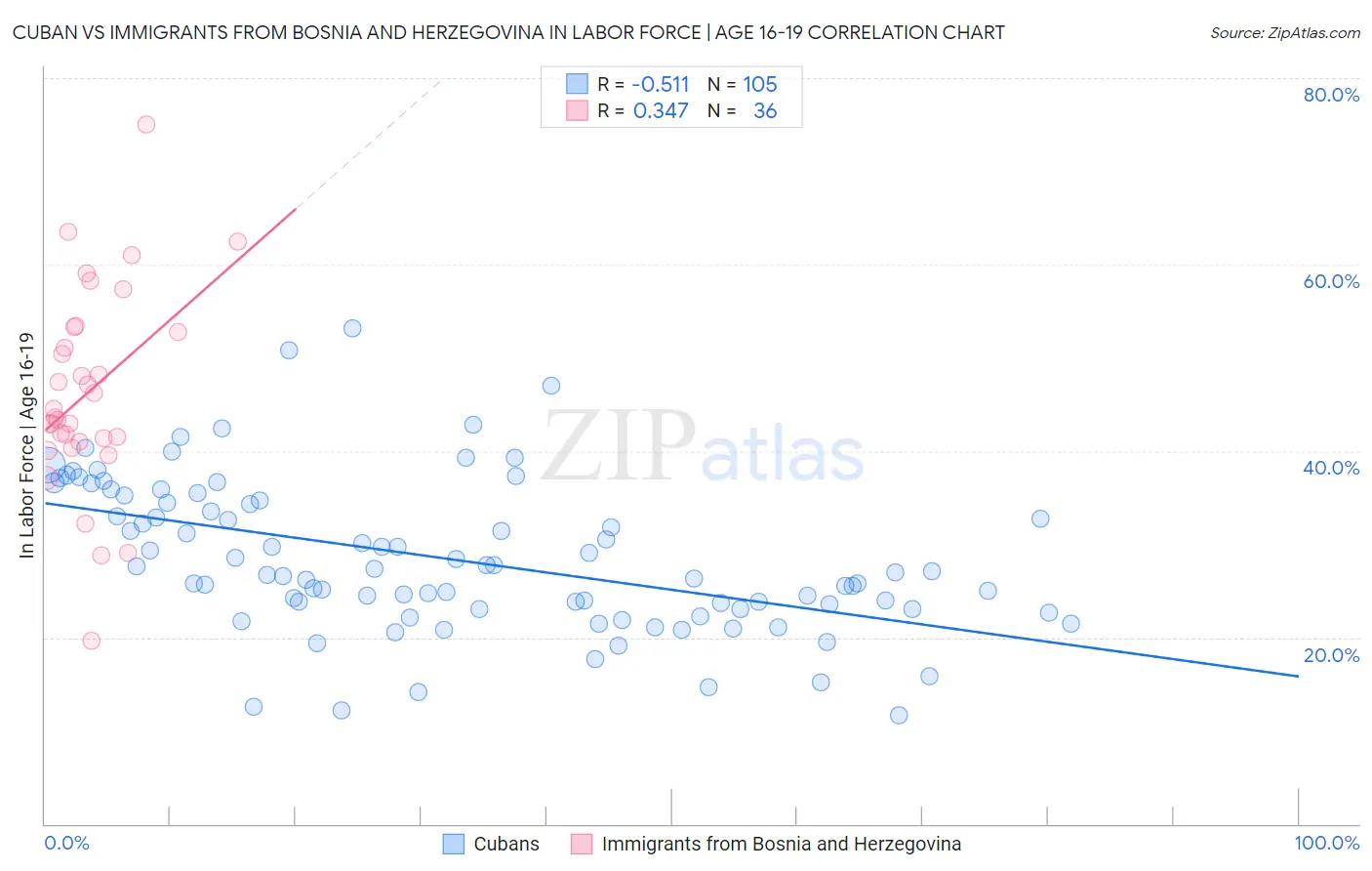 Cuban vs Immigrants from Bosnia and Herzegovina In Labor Force | Age 16-19