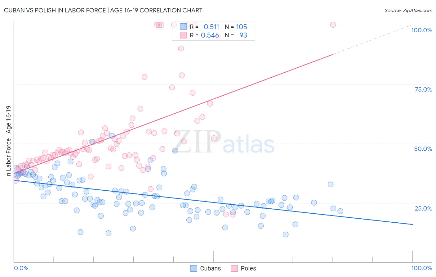 Cuban vs Polish In Labor Force | Age 16-19