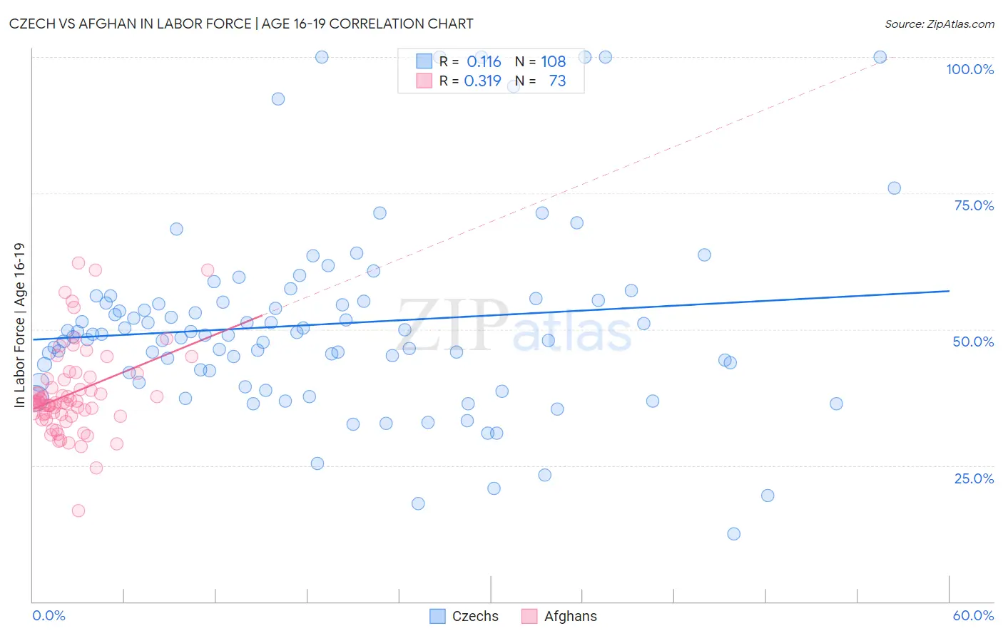 Czech vs Afghan In Labor Force | Age 16-19