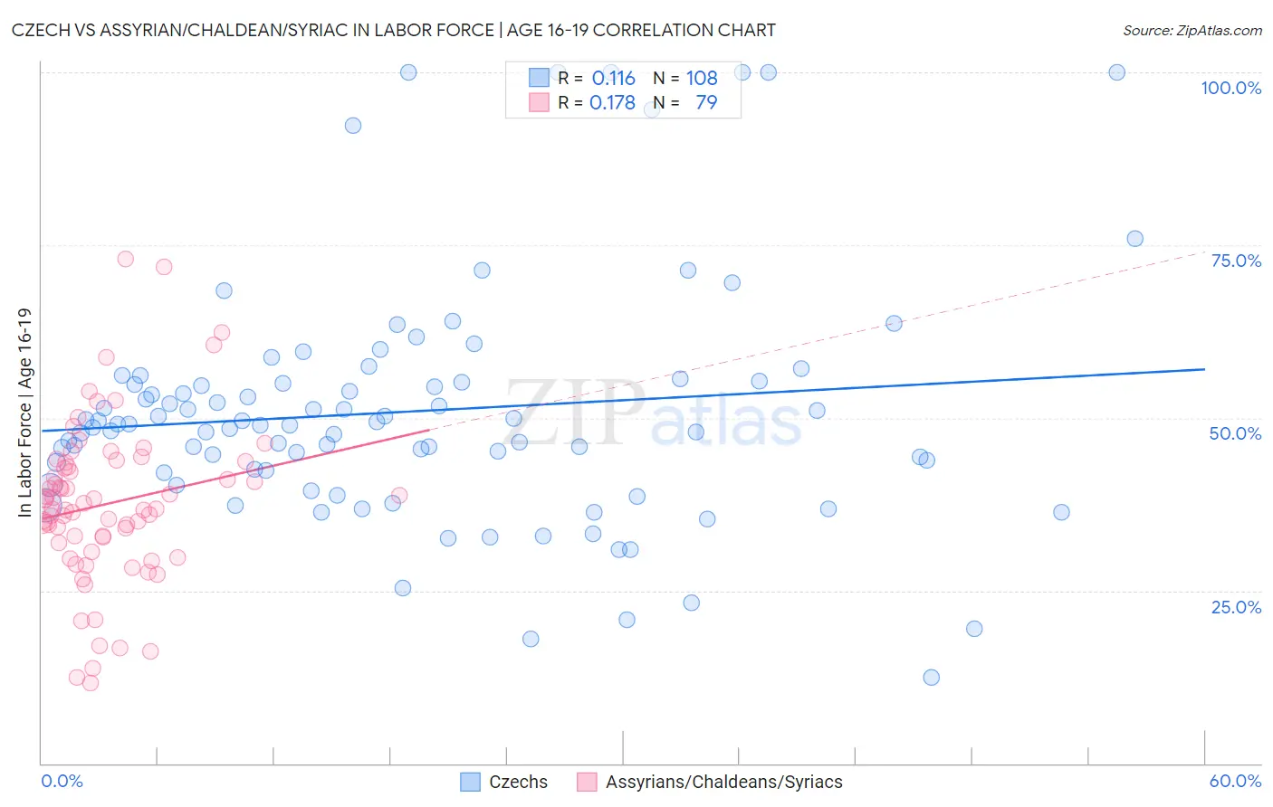 Czech vs Assyrian/Chaldean/Syriac In Labor Force | Age 16-19