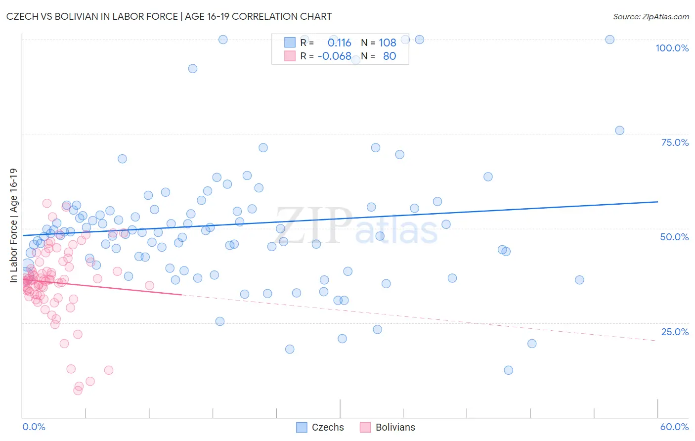Czech vs Bolivian In Labor Force | Age 16-19