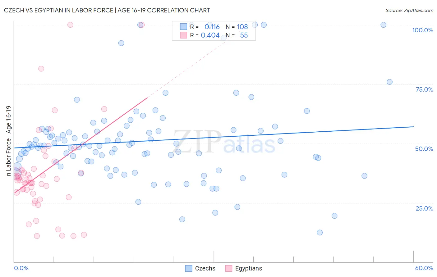 Czech vs Egyptian In Labor Force | Age 16-19
