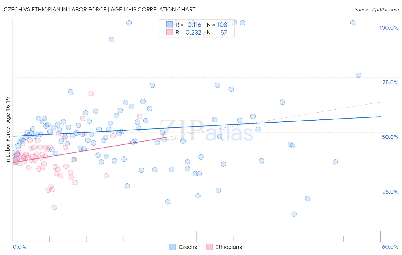 Czech vs Ethiopian In Labor Force | Age 16-19
