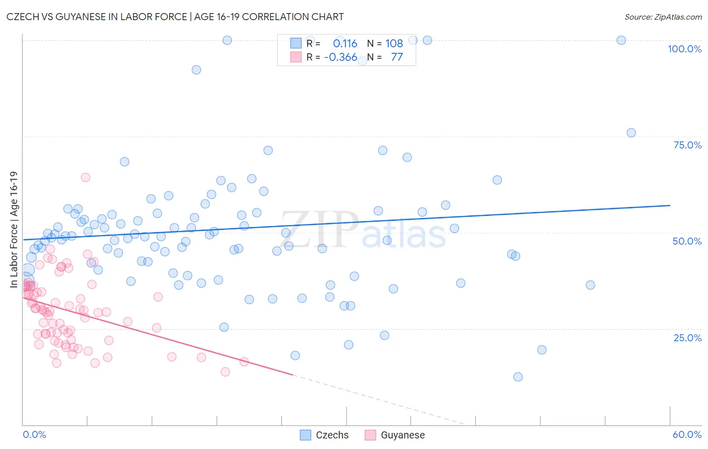 Czech vs Guyanese In Labor Force | Age 16-19