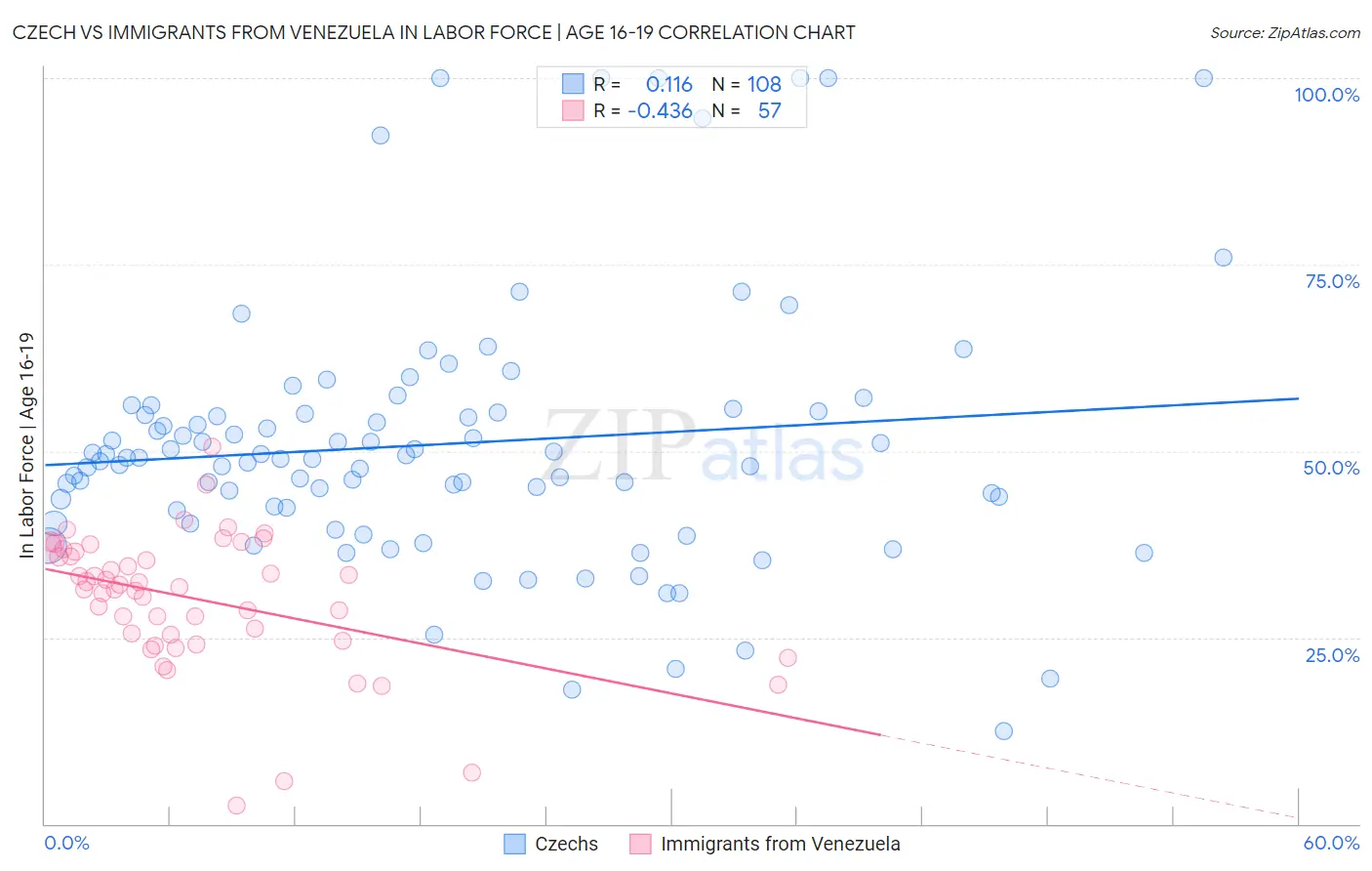 Czech vs Immigrants from Venezuela In Labor Force | Age 16-19