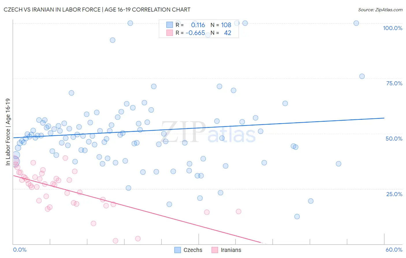 Czech vs Iranian In Labor Force | Age 16-19