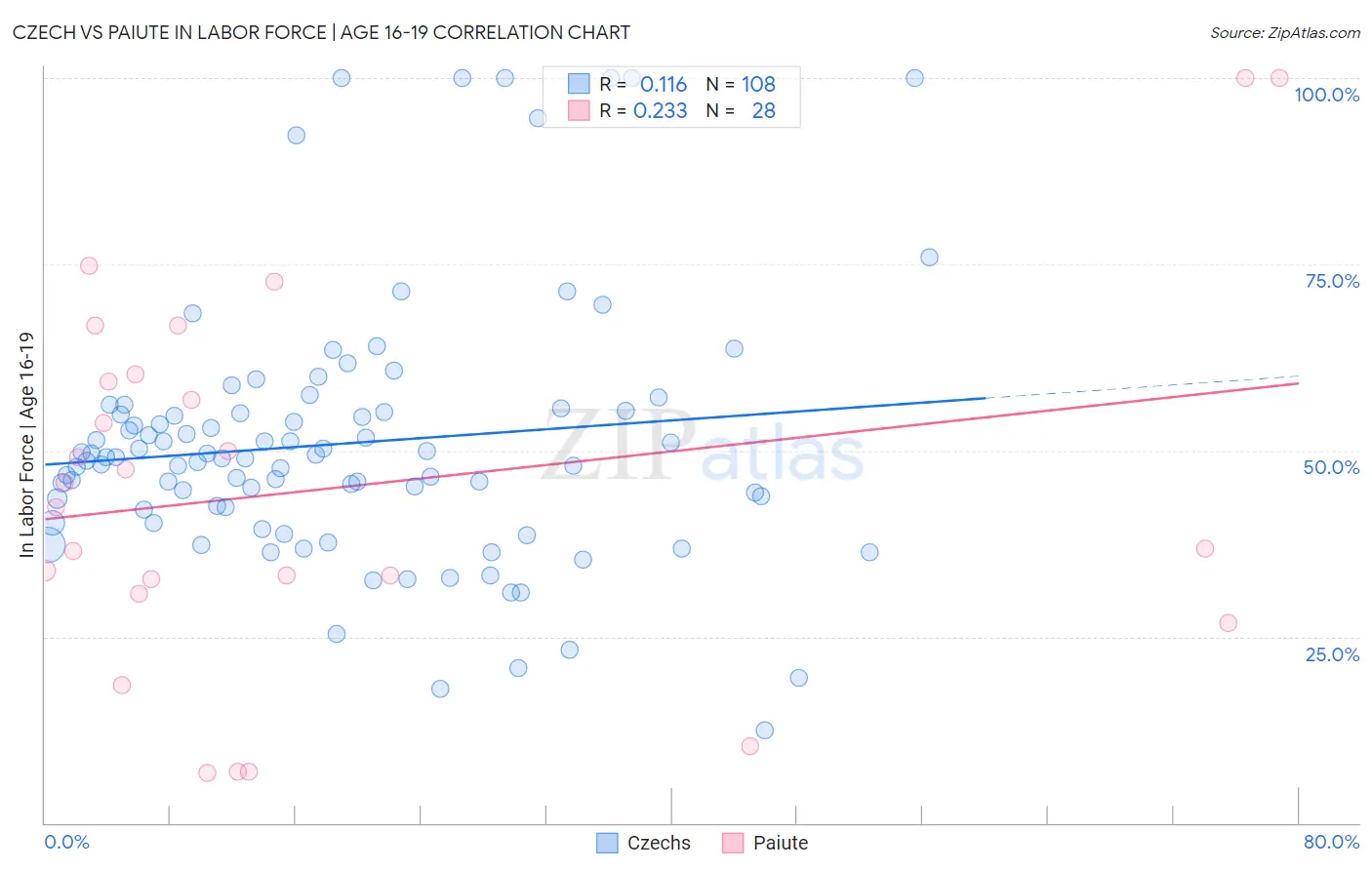 Czech vs Paiute In Labor Force | Age 16-19