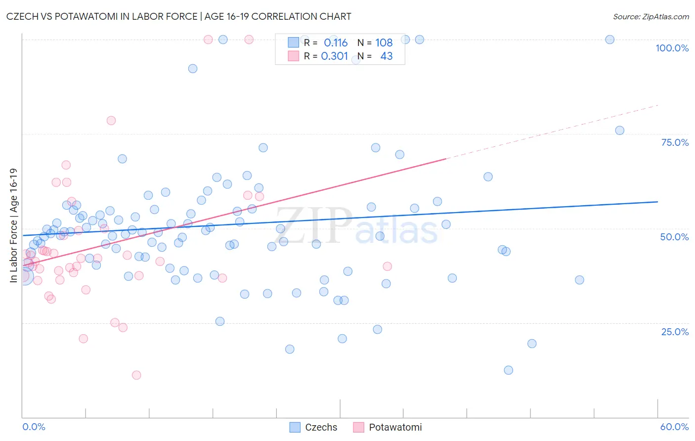 Czech vs Potawatomi In Labor Force | Age 16-19