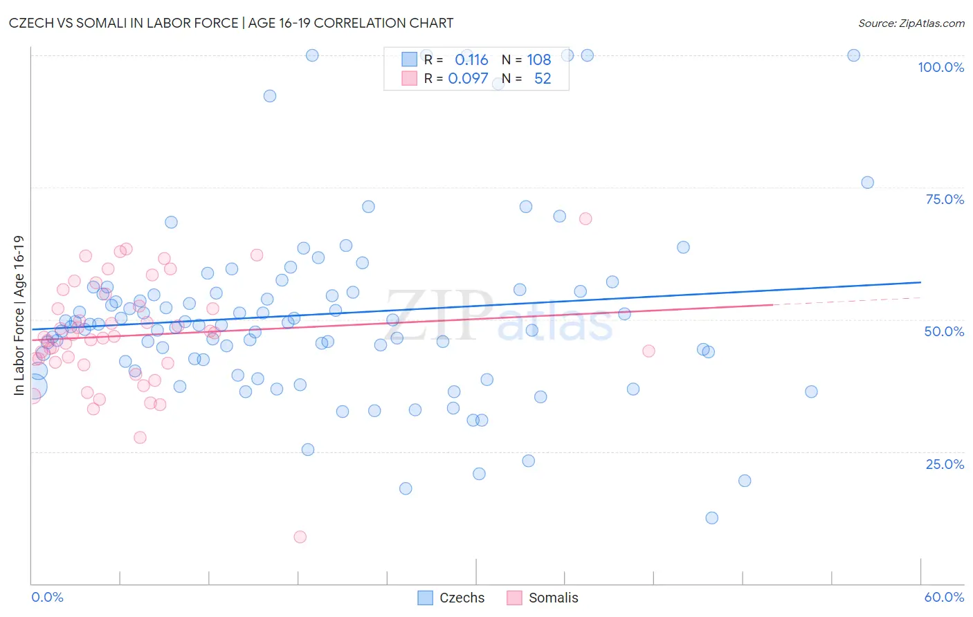 Czech vs Somali In Labor Force | Age 16-19